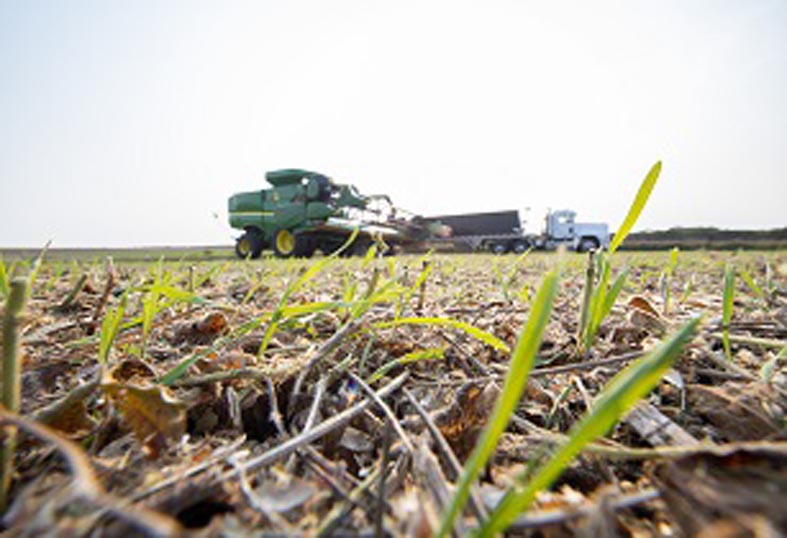 Cargill-Soil-Vinton