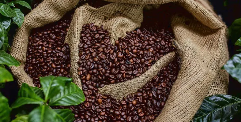 coffee beans