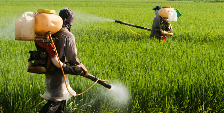 pesticide spraying