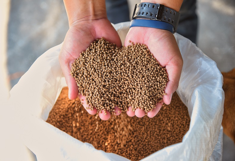 Aquafeed in hand