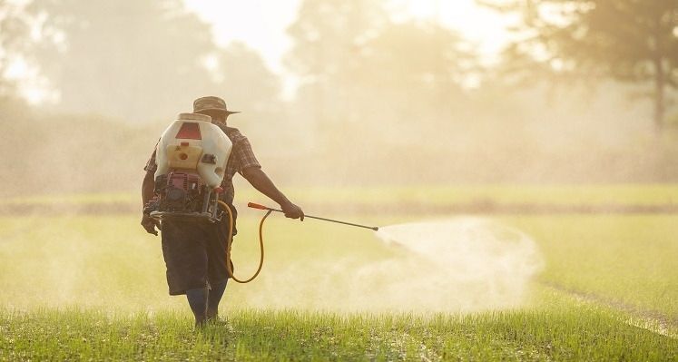 herbicide being applied to plant