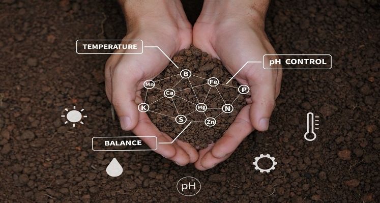 soil composition