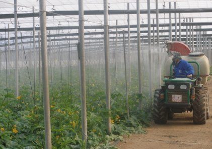 Foliar feeding-terry