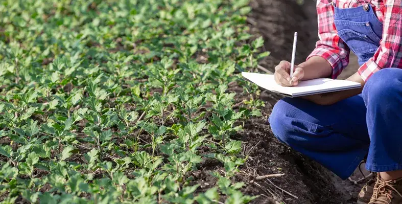 Magüey Green is showing that greener farming can also mean fairer opportunities.(Image credit: Magüey Green)  Image_of_magueyfertilizer