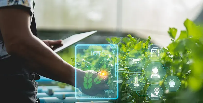 Image_of_smartfarming