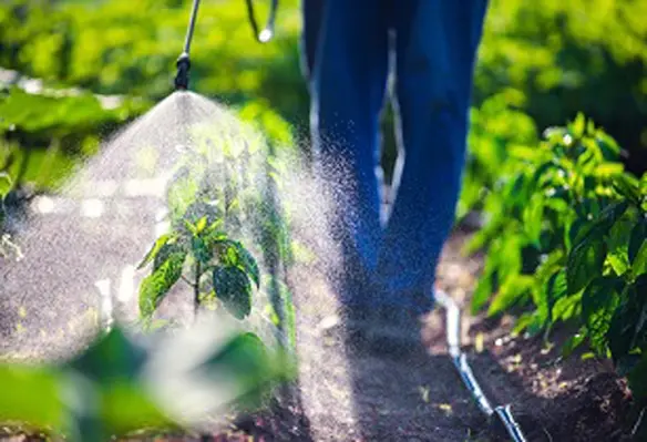 Pesticide usage in agriculture
