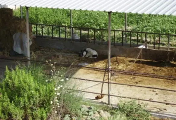ERL estimates that more than 50 per cent of the worlds food calories are produced in regions where the average farm size is less than five HA. (Image source: Mwanasimba/Commons)