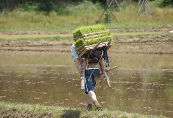 The Ministry of Agriculture cited Indonesia, Malaysia and the Middle East as attractive markets to export its agricultural goods. (Image source: Fred Lang/Flickr)