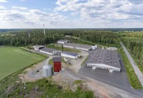 One extra cubic metre of tree growth sequesters one tonne of carbon dioxide from the atmosphere. (Image source: HKScan)