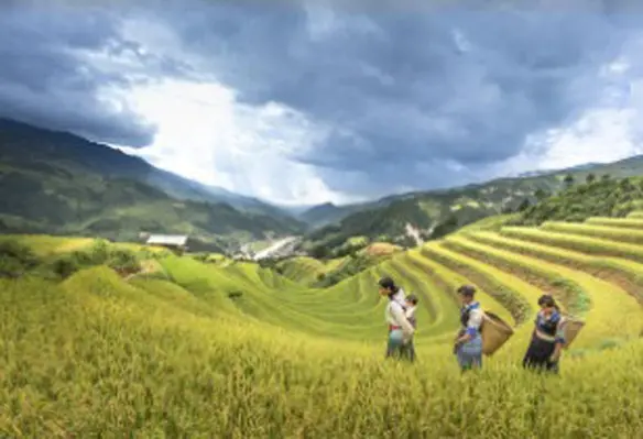 The event is set to promote the role of women across the agribusiness value chain. (Image source: Quang Nguyen vinh/Pixabay)