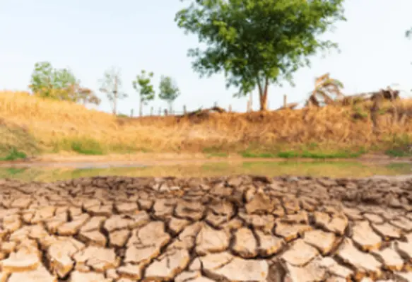 Lack of rainfall and delayed monsoon weaken India’s crop output. (Image source: nungning20/Adobe Stock)