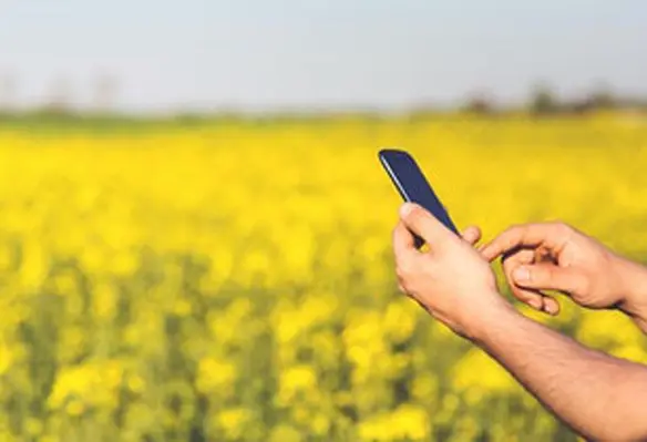 Korea’s MAFRA will also send Korean experts and farm consultants to train Filipino farmers. (Image source: Kaboompics .com/Pexels)
